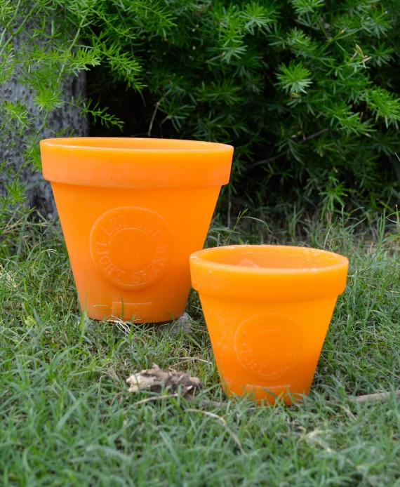 Let the light shine (orange)