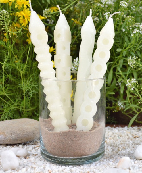 The tropical candle centerpiece ( white)
