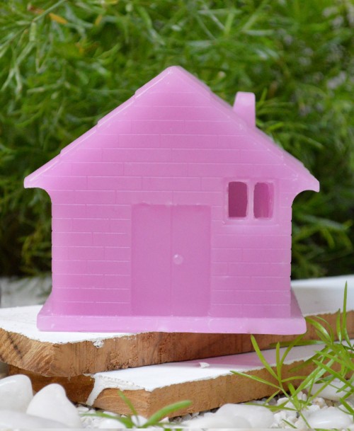 House in wax (Radiant orchid )