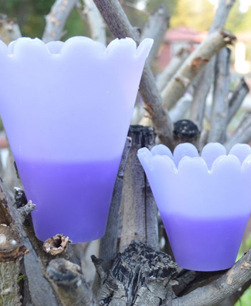 Garden pots purple