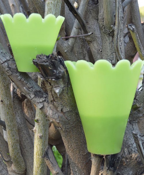 Garden pots green